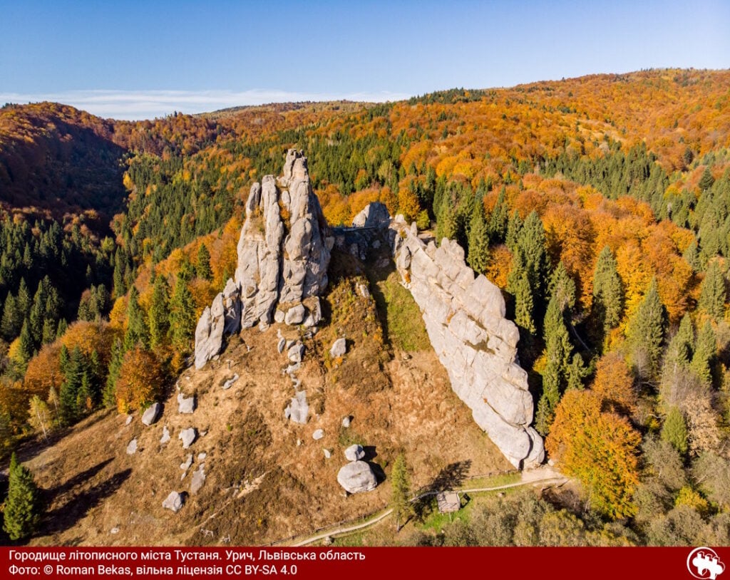 Світлини Вікімедіа 