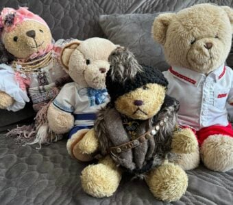 Solutions from Ukraine: Ukrainian psychologists launch Bear in Embroidery project to support mental health