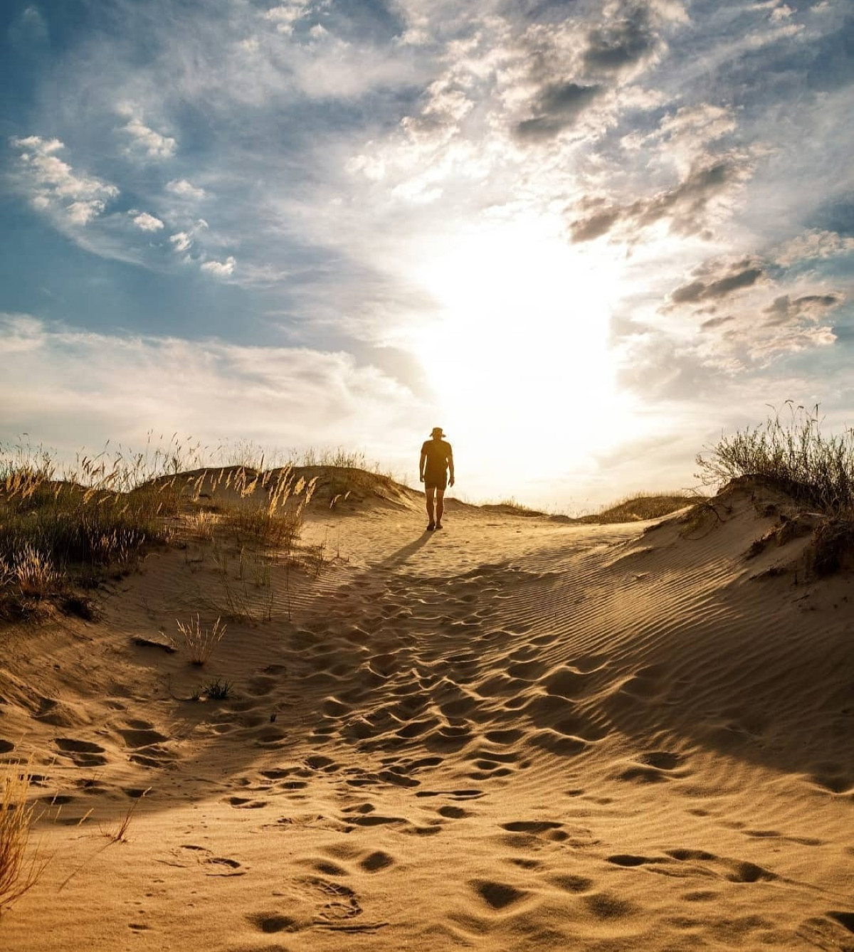 Oleshky Sands, a desert in Ukraine, Kherson region