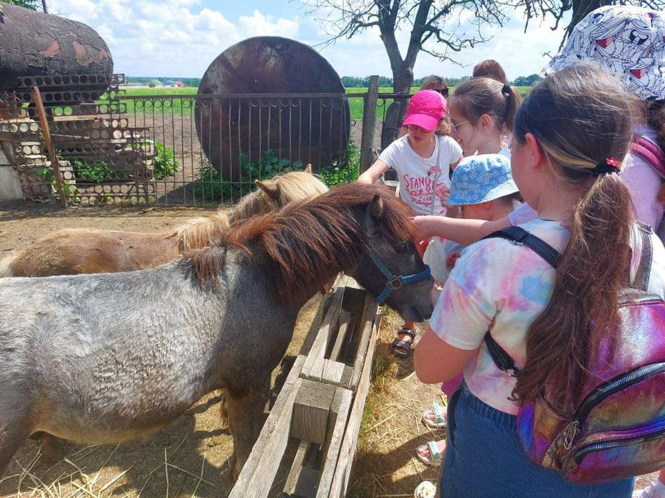 проєкт Happy Children: іпотерапія 