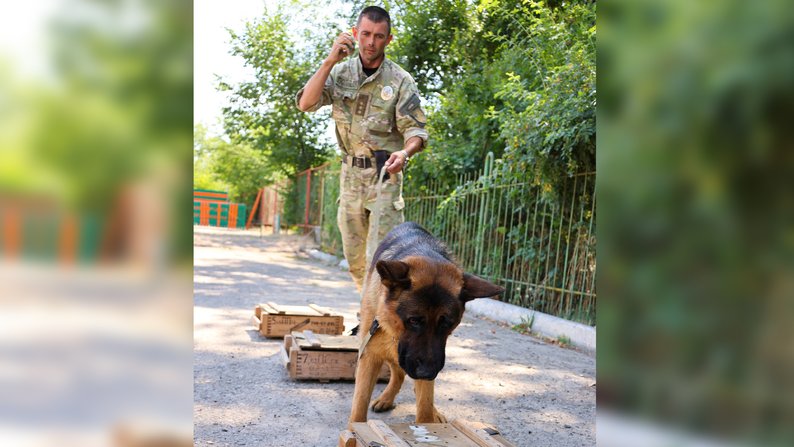 На Миколаївщини службовий пес Церон допомагає поліціянтам