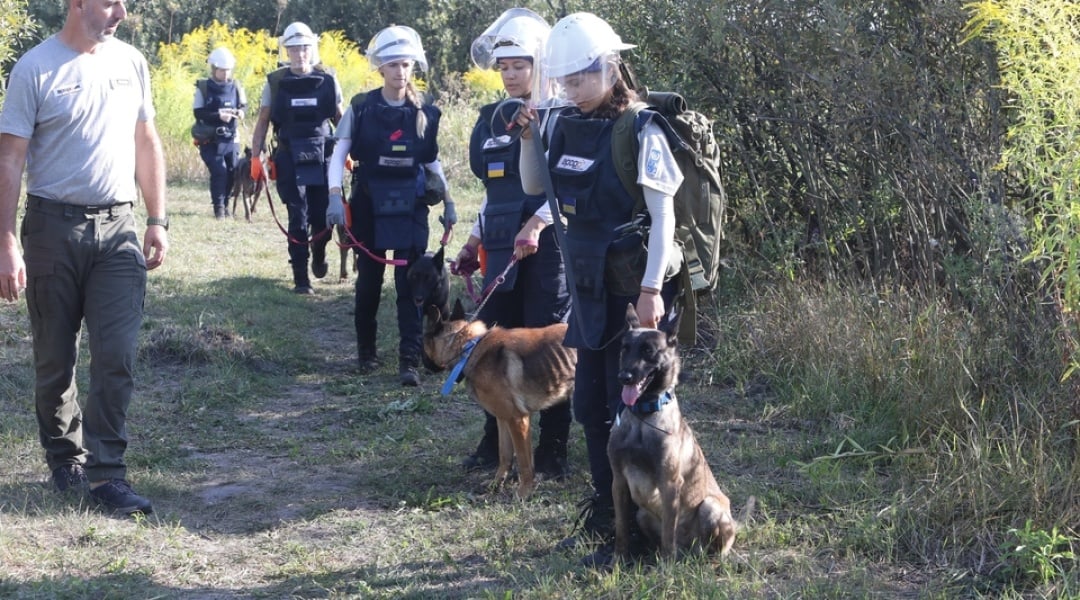 Жіночі команди розмінування