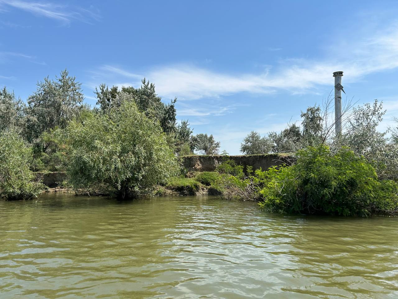 The banks of the Chilia estuary of the Danube