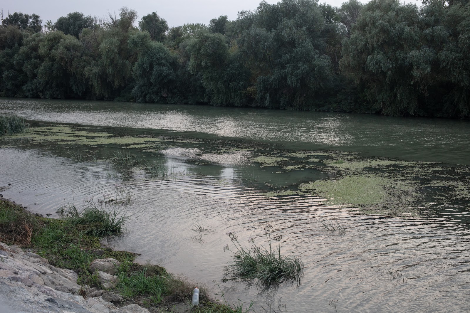 plastic waste next to Chilia Veche