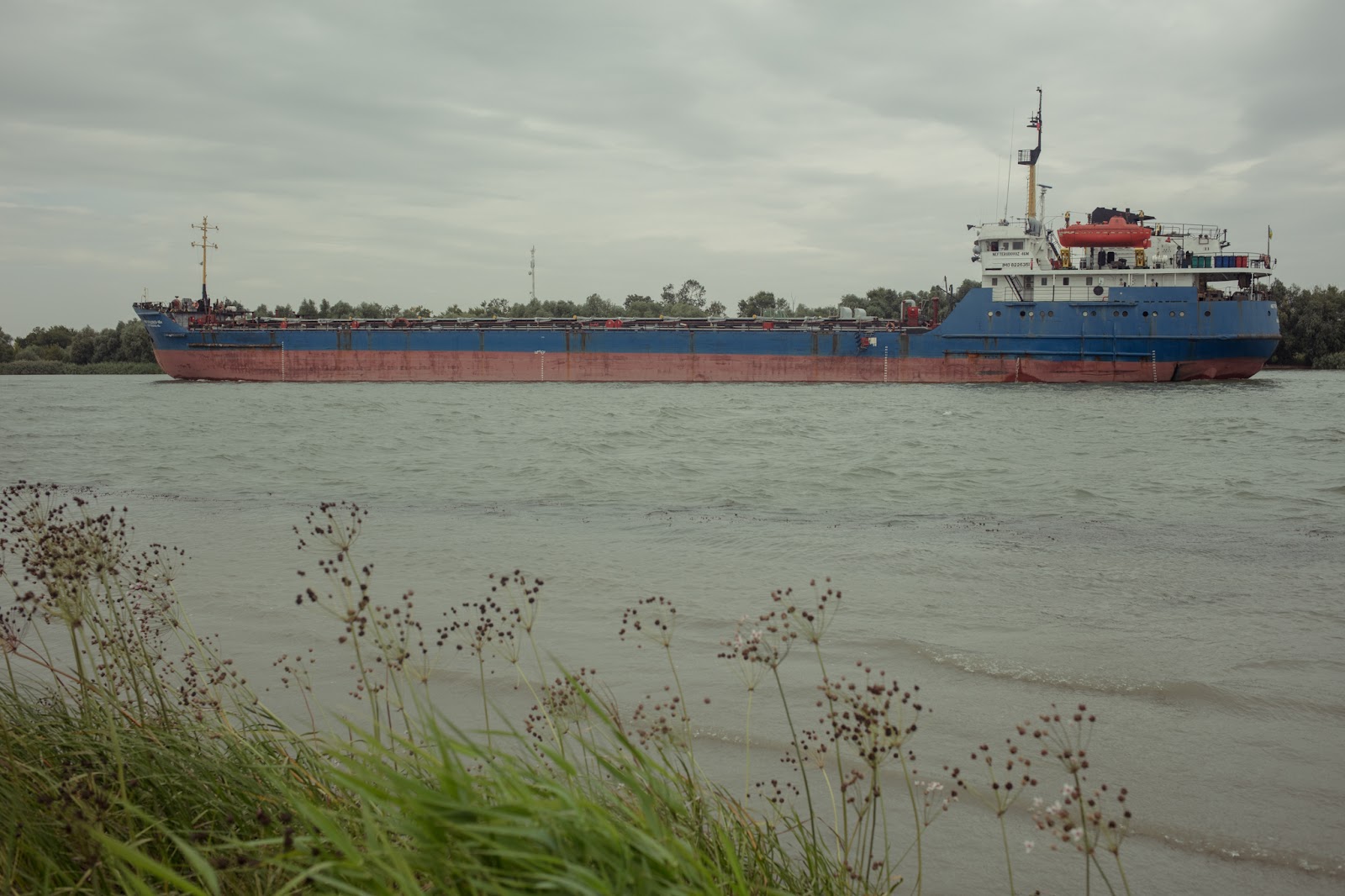 Large cargo ship close to Chilia Veche