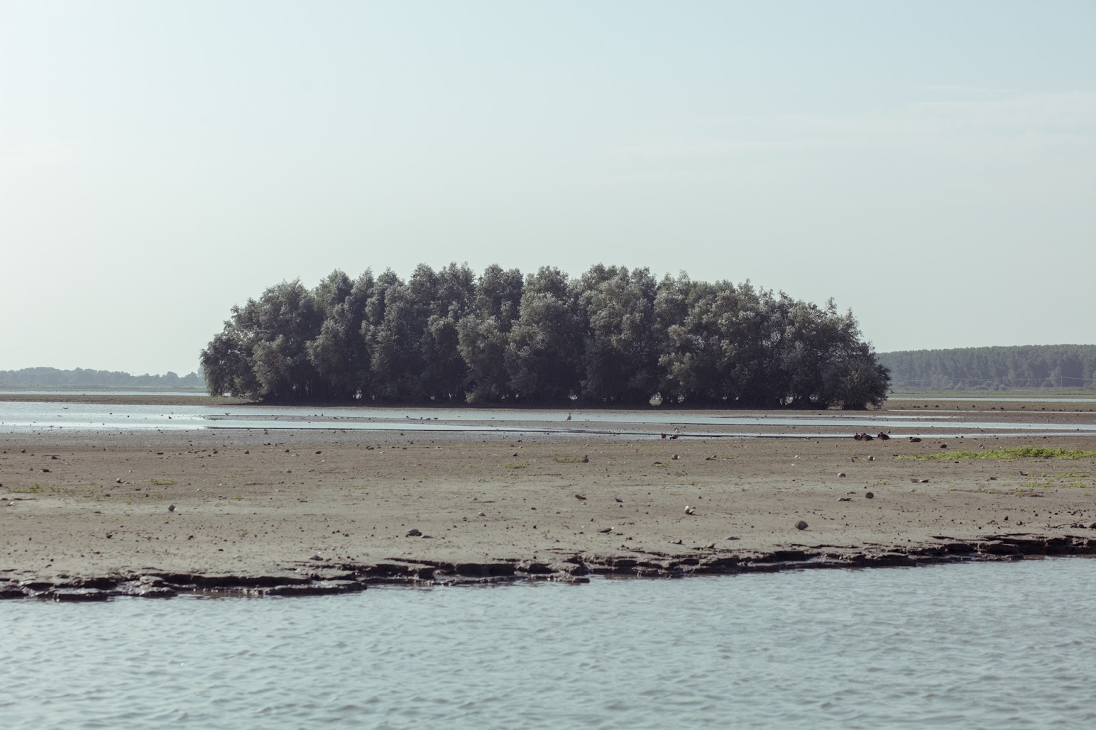 Small island on the Saint Gheorge branch of the Danube