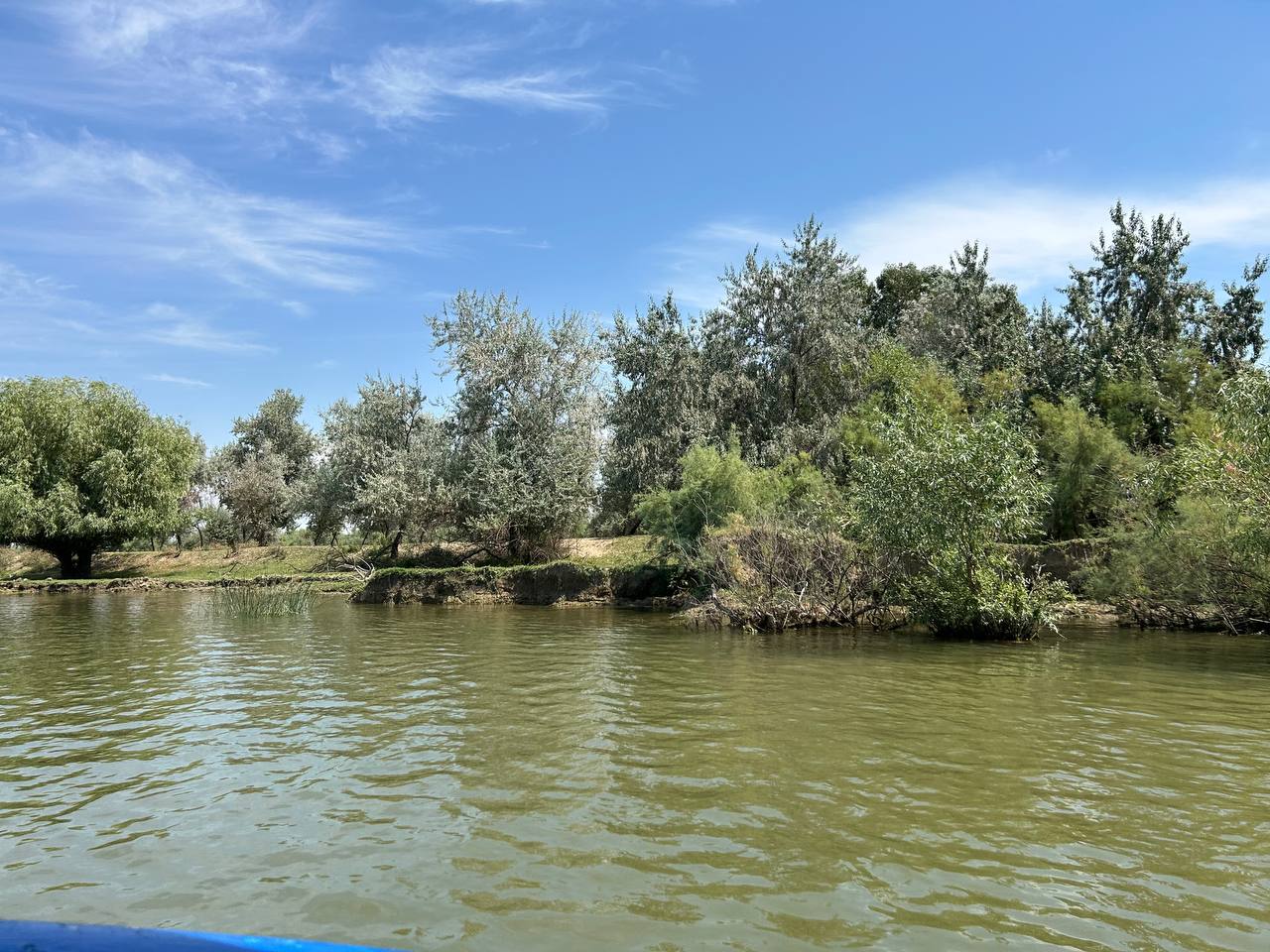 The banks of the Chilia estuary of the Danube