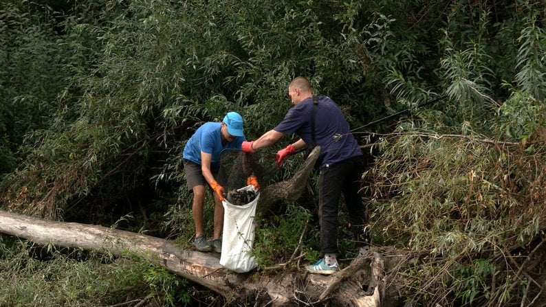 Десна, волонтери збирають мертву рибу