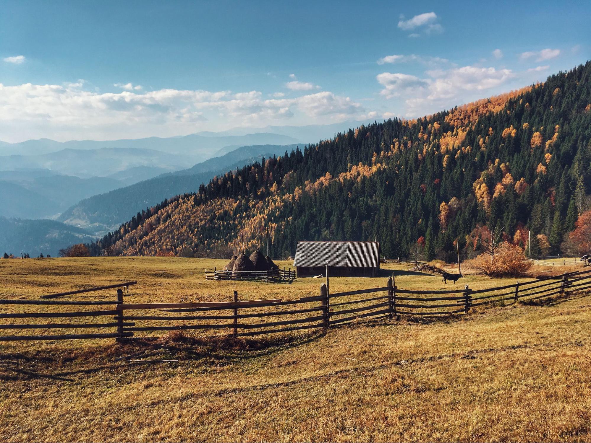 Ukrainian fall: The Carpathians in the autumn