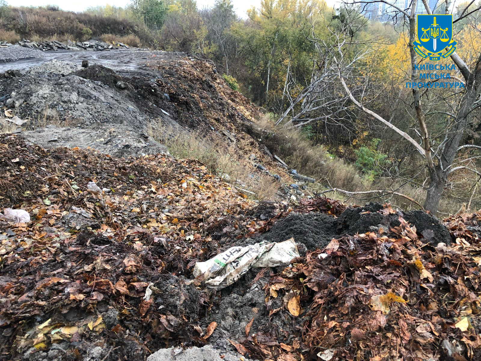 Київ, парк Балка Проня, звалище