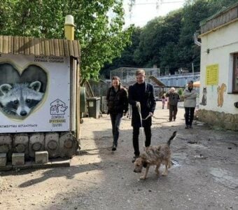 Solutions from Ukraine:  Lviv's Home for Rescued Animals launches app to help support wild, exotic, and domestic animals in need