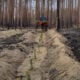 Eco-solutions: Lyman revives forests damaged by war fires, aiming to plant 100 hectares