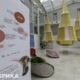 Solutions from Ukraine: Kyiv unveils new interactive space to offer emotional support to Ukrainians