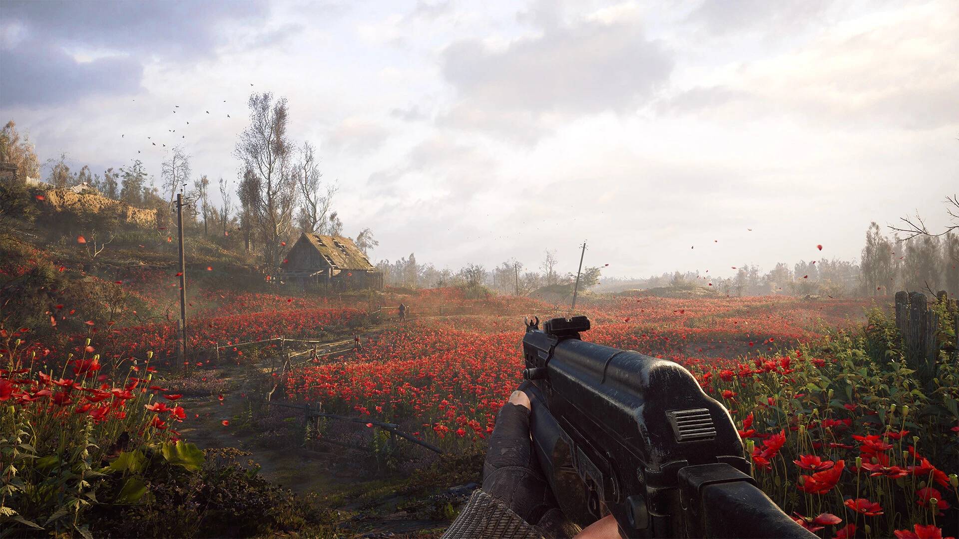 S.T.A.L.K.E.R. 2 facts: Poppies in the game are meant as a tribute to fallen Ukrainian soldiers.