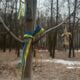 Solutions from Ukraine: in Kyiv, wives of fallen soldiers plant trees to commemorate their husbands