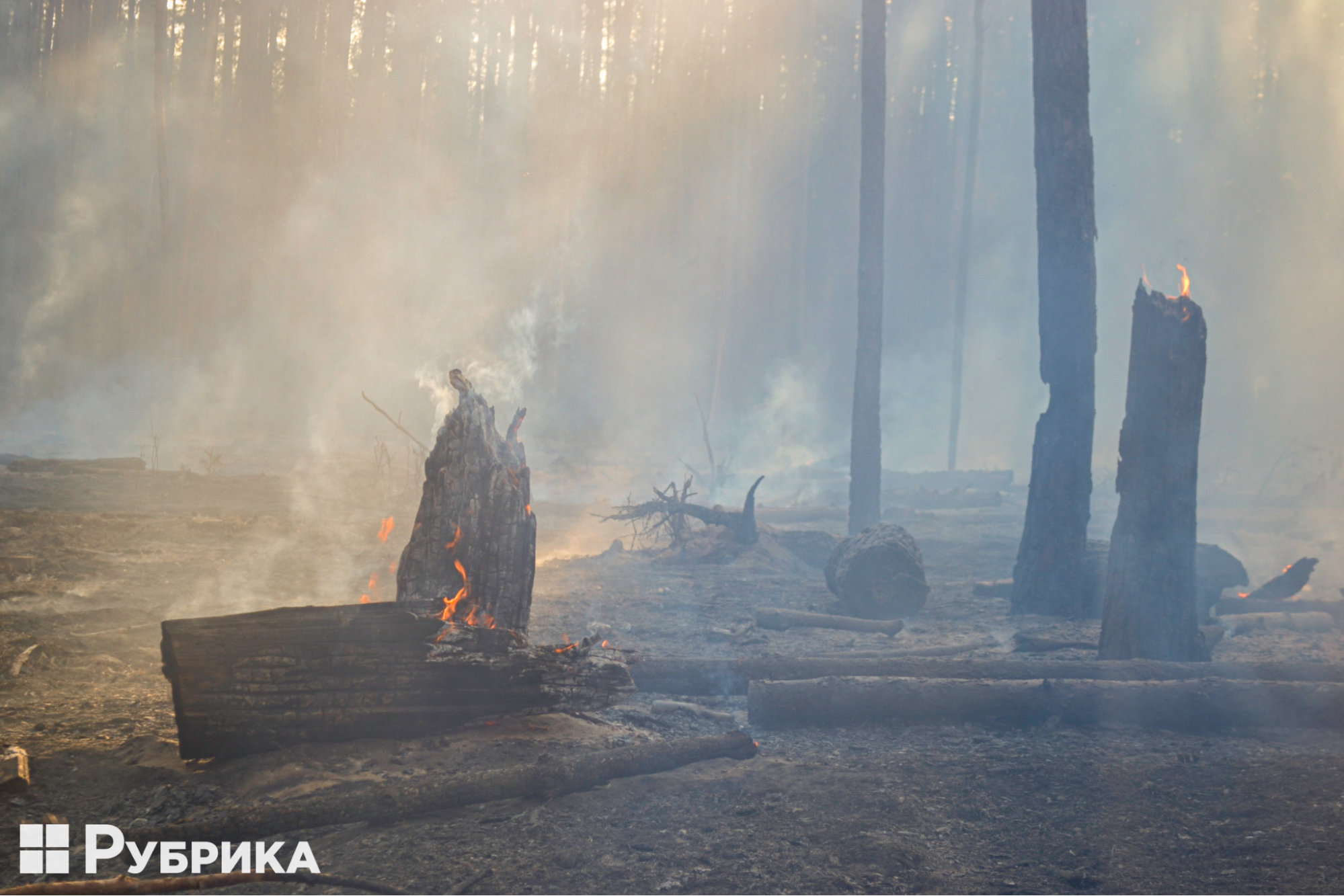 наслідки війни для довкілля: Пожежа у Національному природному парку Донеччини Святі Гори