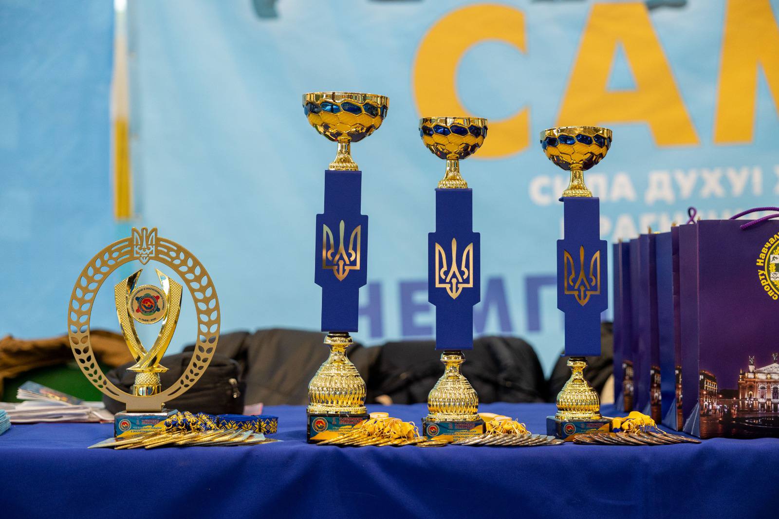 інклюзивність, чемпіонат по самбо