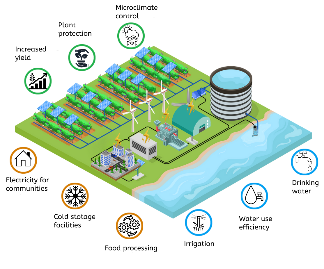 traditional agrivoltaics setup