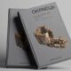 Azov fighter's book about 886 days in Russian captivity comes out in English and French