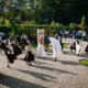 International artists create new sculptures for Carpathian Sculpture Route in Zakarpattia region