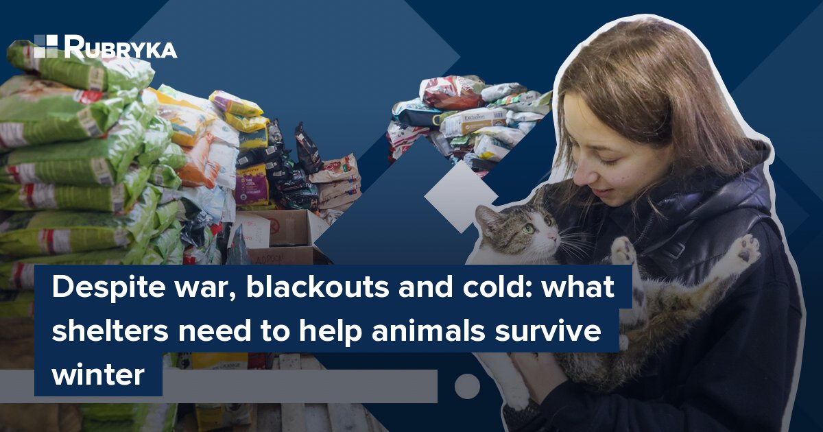Despite war, blackouts and cold: what shelters need to help animals survive  winter | Rubryka